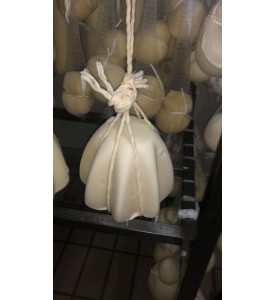 Caciocavallo PANDORO FORMA DA 1,5 KG (CIRCA)