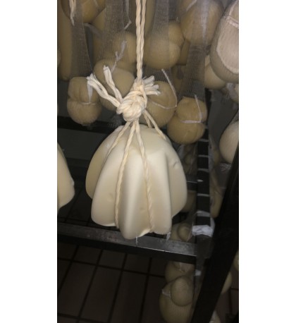 Caciocavallo A FORMA DI PANDORO 1,5 KG